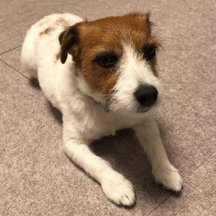 0bfb1cf7 5079 4b10 9049 a01c97ab1094 1563019089734