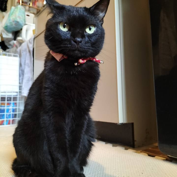 0bfb66de afc8 4ef9 8312 e34822e80892 1656971904332