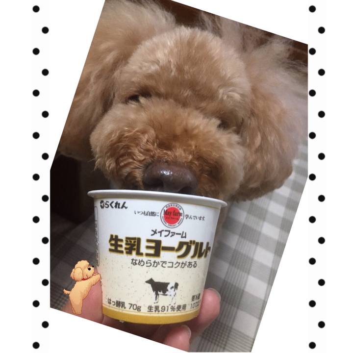 0bfb6901 ba19 4333 9c0b d16a7ee664a5 1536010971194