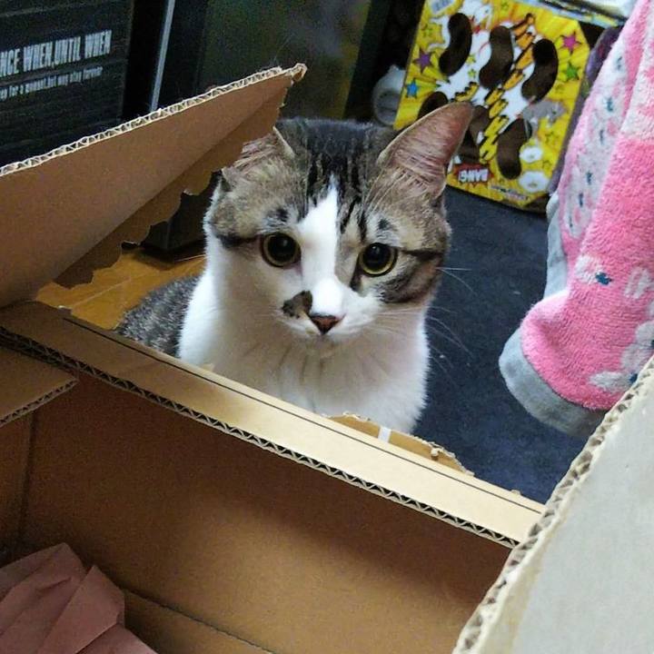 0bfb97ea af8a 453e bfb0 73c4c62fd69e 1641910196770