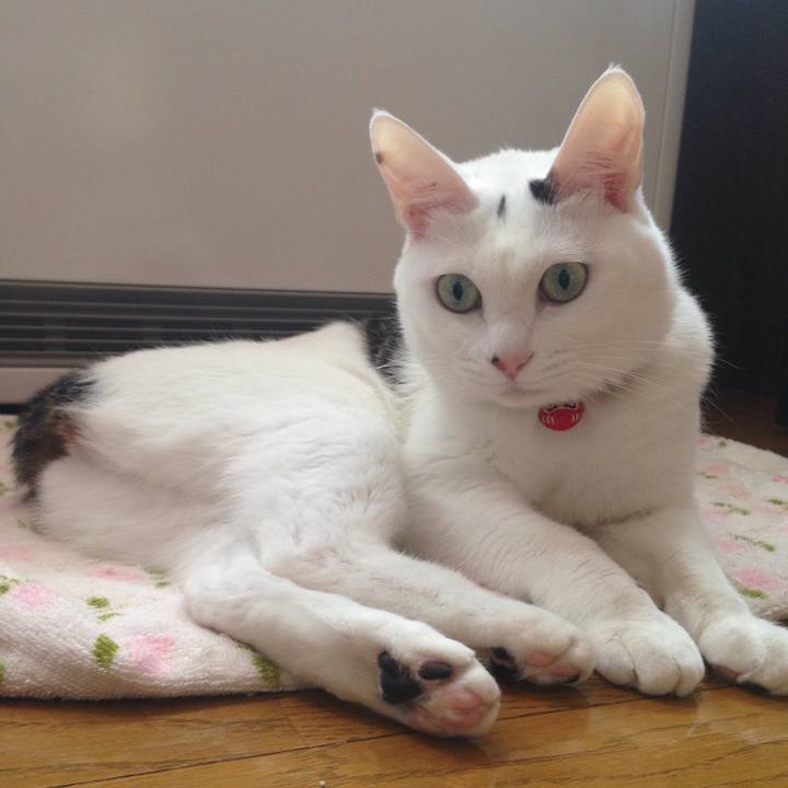 0bfb98c7 e0cd 417e 9986 5fe6a5ad8eb6 1515294511087