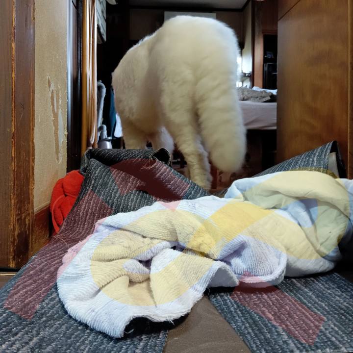 0bfbe270 7250 46c4 866f 18b5ebeef86f 1717453094146