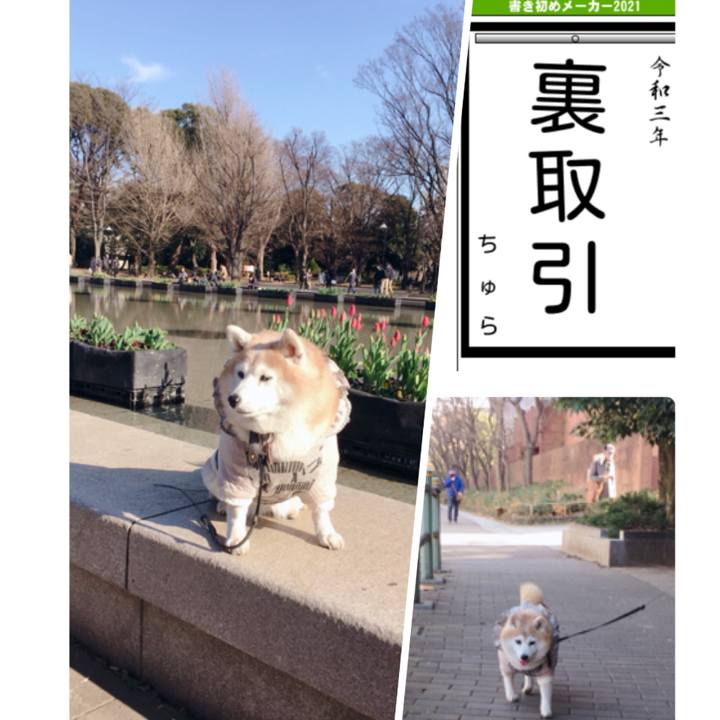 0bfc00e1 58df 47c8 bba7 fea4bf64f941 1609660500234