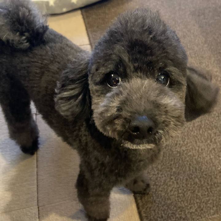 0bfc1345 cfda 4bcd 8166 b632db0952d7 1645921461540