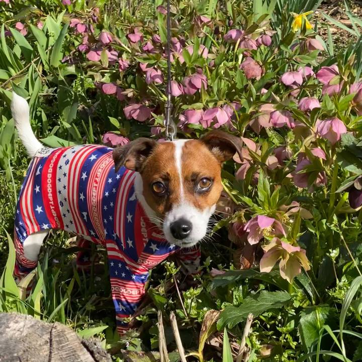 0bfc1d06 56bf 4195 8051 99f352d93aae 1633525753928