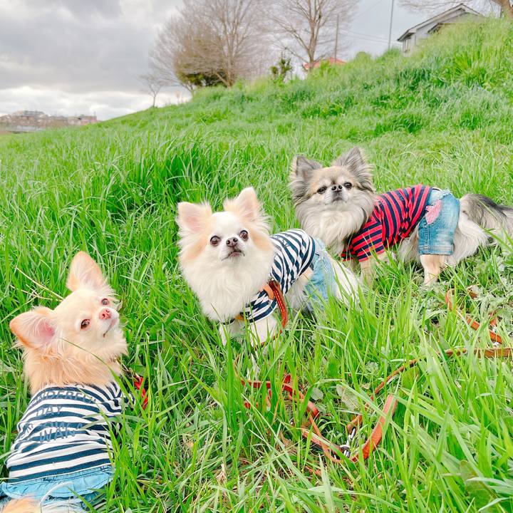 0bfc2719 dde1 42ca 9231 d655c173a04e 1648862313024