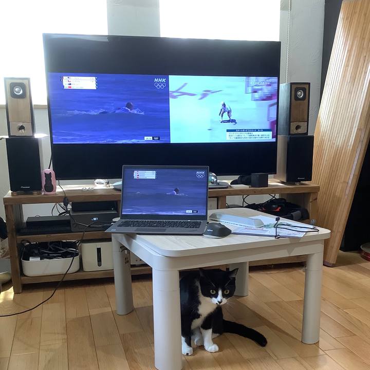 0bfc3c2c b3ca 414c 8ddf 1f9d18469647 1627212481146