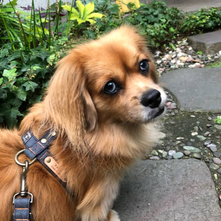 0bfc4ac8 3c64 4353 bf1f b981d1f5f31a 1570485259252