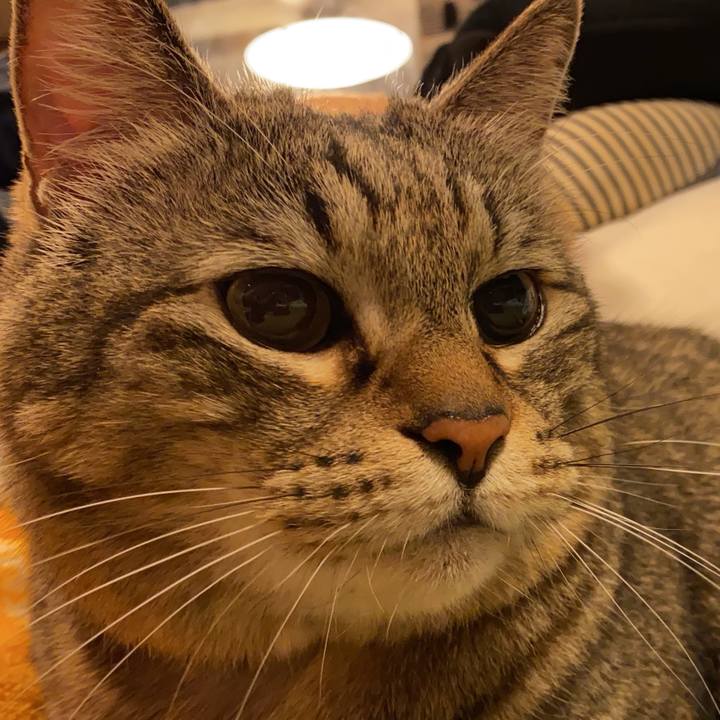 0bfc4b3d c30f 4a55 90ea 21ac9f11b1d1 1651738878012