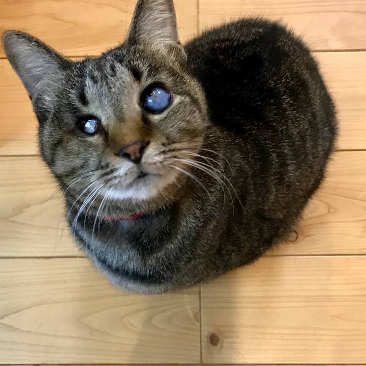 0bfc6638 47c9 4b77 946d f20d7cbf8fee 1552783576547