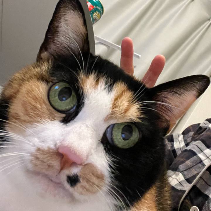 0bfc980c 987b 4536 b2f8 7270bfcc0909 1703991154352