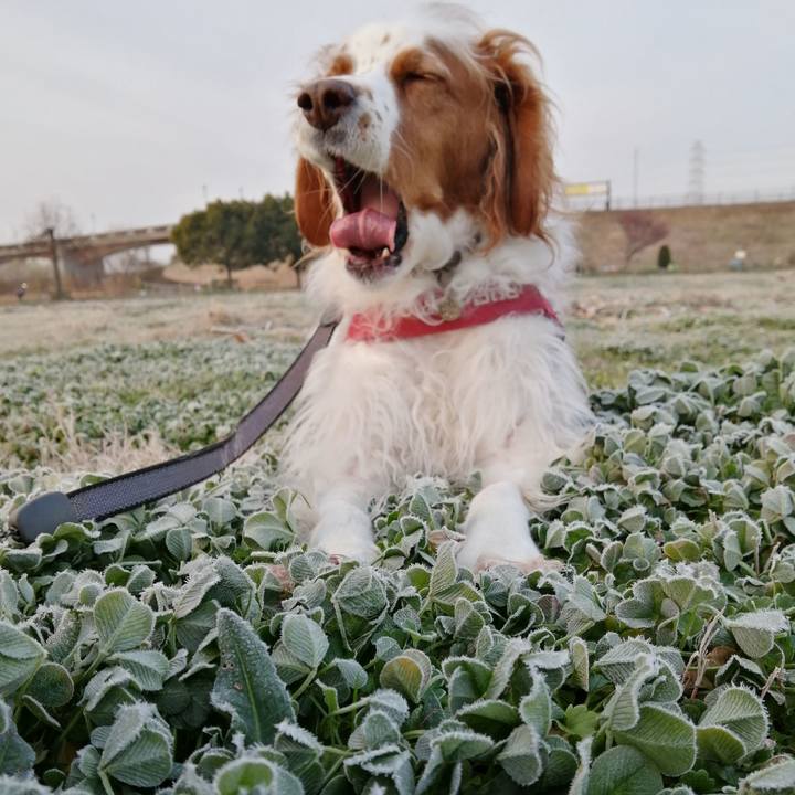 0bfccf38 e967 4d06 8c9d 75e87d17d4a7 1580700102331