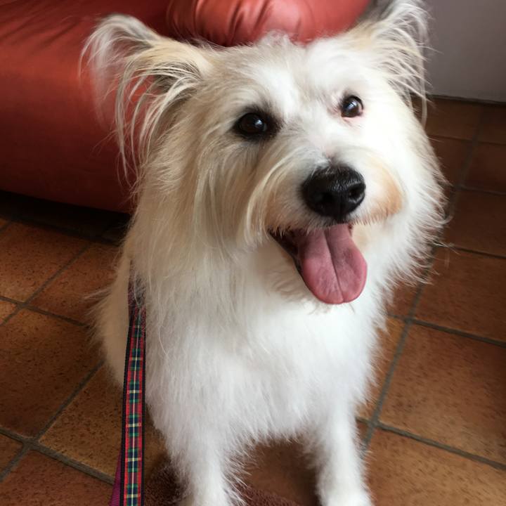 0bfcddcc a365 472d a0c6 ad91c9e219e9 1537421446537