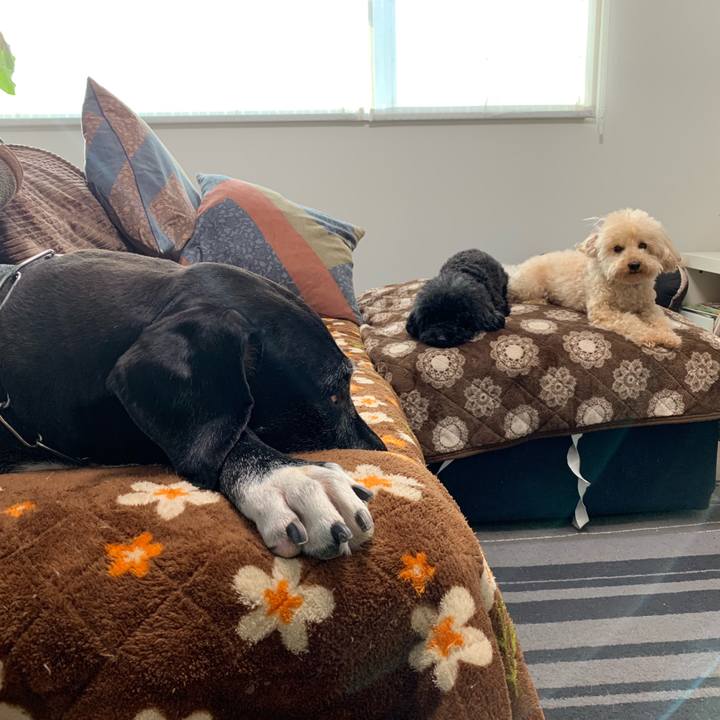 0bfd07d3 270a 44c5 90bc 0e02d2f53b0e 1545260617951