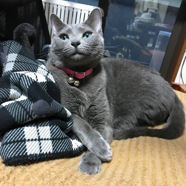 0bfd9e23 d4d5 40b6 9dab 294617089455 1521709848413