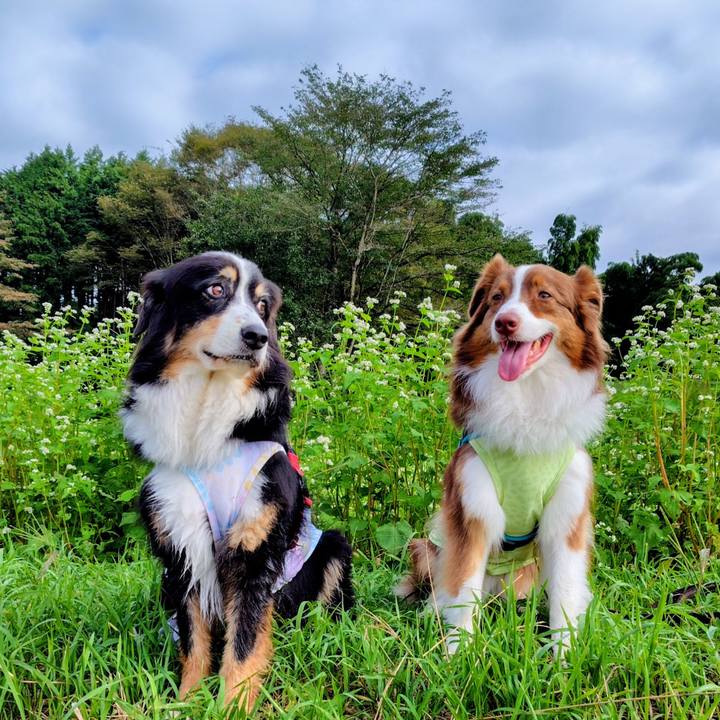 0bfde62f 7bc0 4546 a7fe d96f15690306 1760786507021