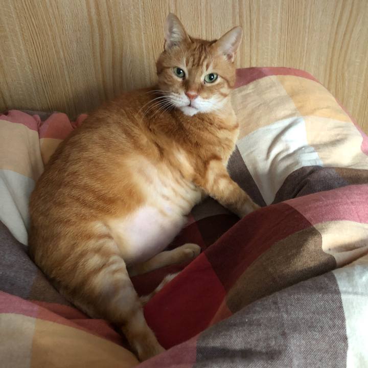 0bfe0fba cf39 4705 a960 b42aad3160da 1710364109513