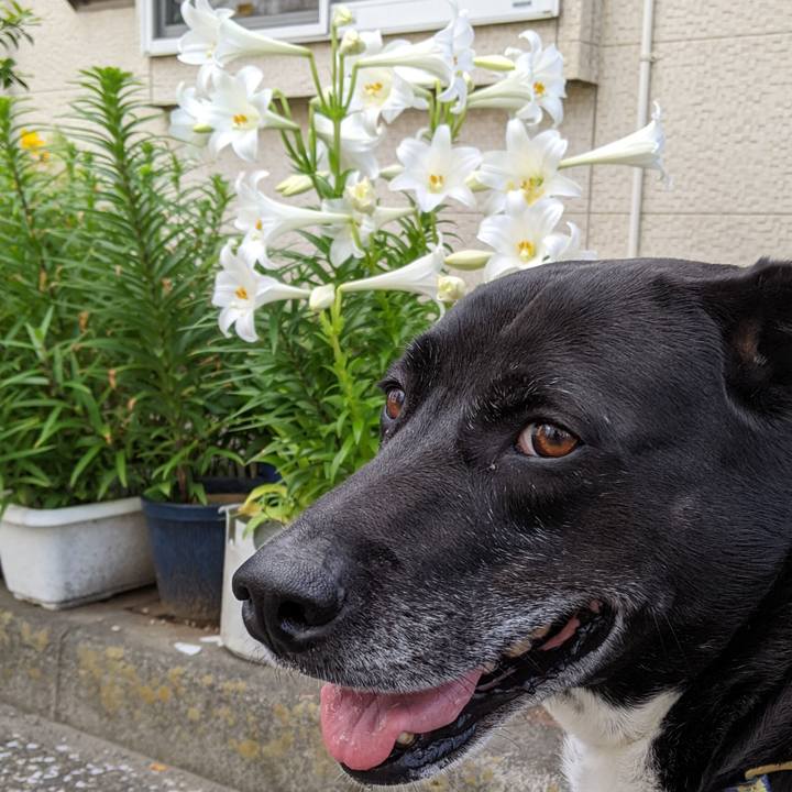 0bfe1219 19a8 41b2 95b8 091bff5667dd 1685929307565