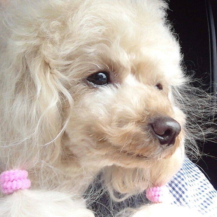 0bfe1ee3 a276 43a5 9737 207d2edcbe75 1532256771874