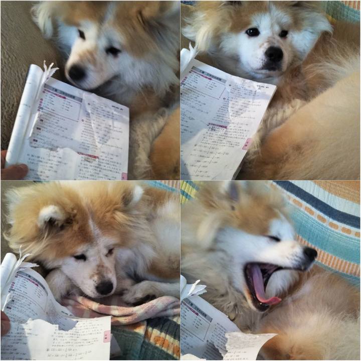 0bfe211a 2821 426c b100 246efbe6ba33 1608990543971