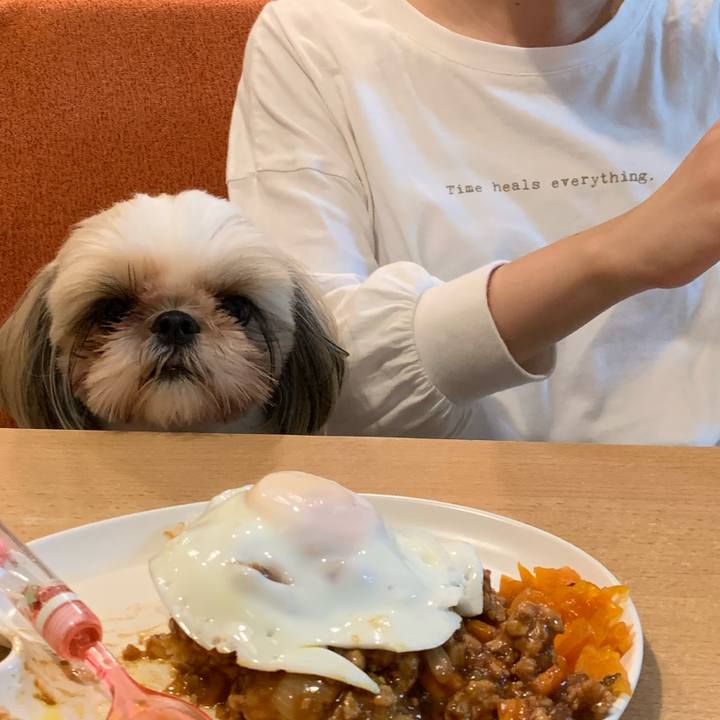 0bfe4030 e3f5 47ed bae7 a85cd655849e 1602825701486