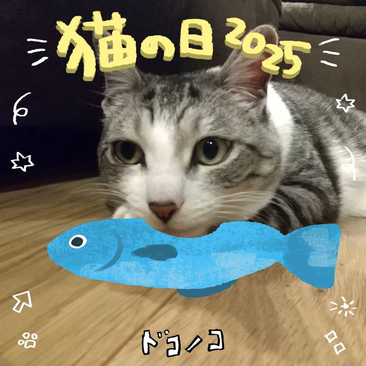 0bfeb5ab 42a5 45c8 b3a8 c2059794894f 1740135532112