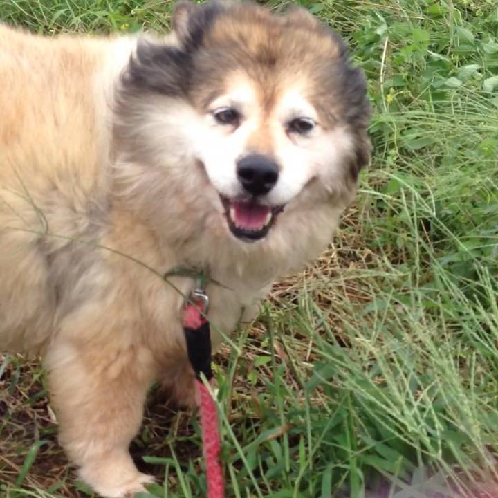 0bfeb708 e588 476f a024 56cf45b99acc 1562451821283