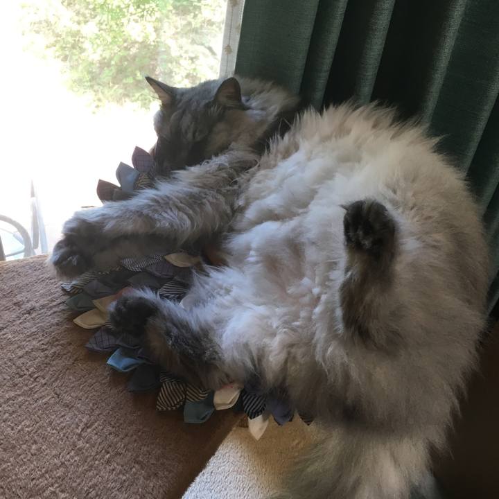 0bfece1c 09ff 4d67 abf7 bc15af6058bf 1558755130061