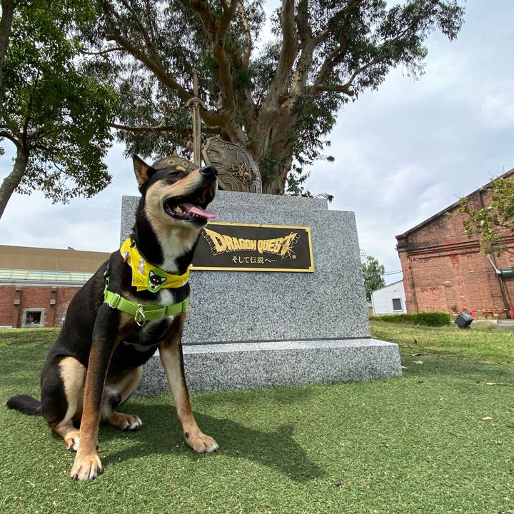 0bfee937 d017 491f a483 8b56682edebe 1592632526966