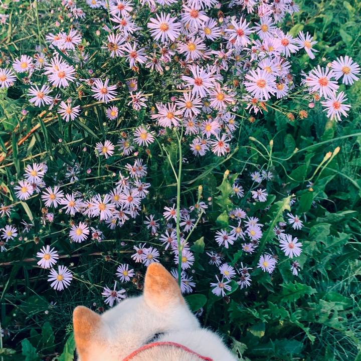 0bfeea25 8f48 48b3 8767 c5207f97a489 1600552302654