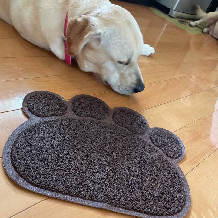 0bff1e7f 69da 46a9 8d78 feaf8056200d 1634278472215