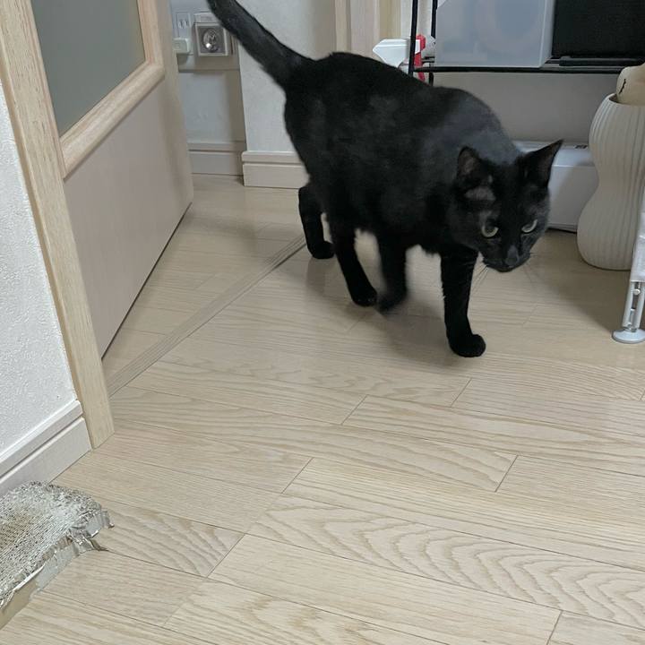 0bff24cd 3915 47ca 8f8e 5e996a70c14a 1649508009215