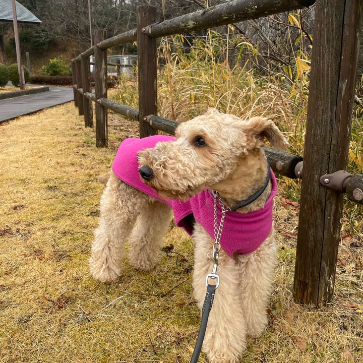 0bff4dff 98be 4a15 953d be41ec0bb245 1642066603176