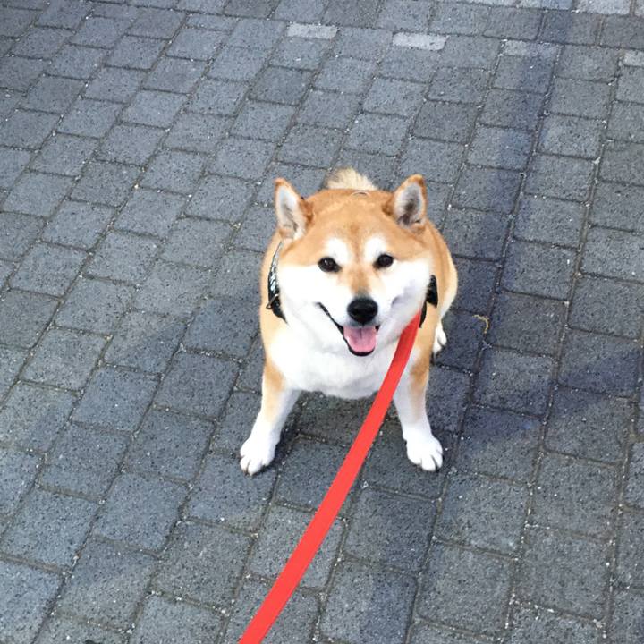 0bff7db6 15f1 4609 9a1f fde355f0cf7f 1591784966000