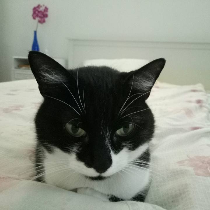 0bff9da0 d71e 45f1 bbd3 db203e97cd43 1511083940051