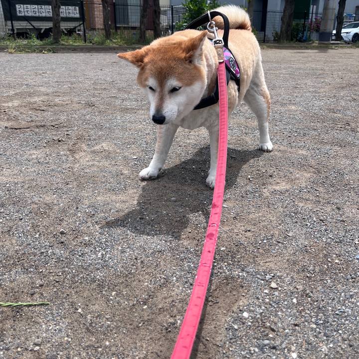 0bff9ff6 7ba3 4f02 bacf 8d05bee3a4fb 1715227533760