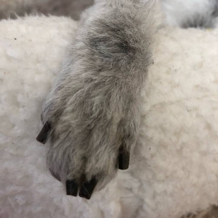 0bffd944 8231 4064 95ee 389ae0623a42 1745455109985