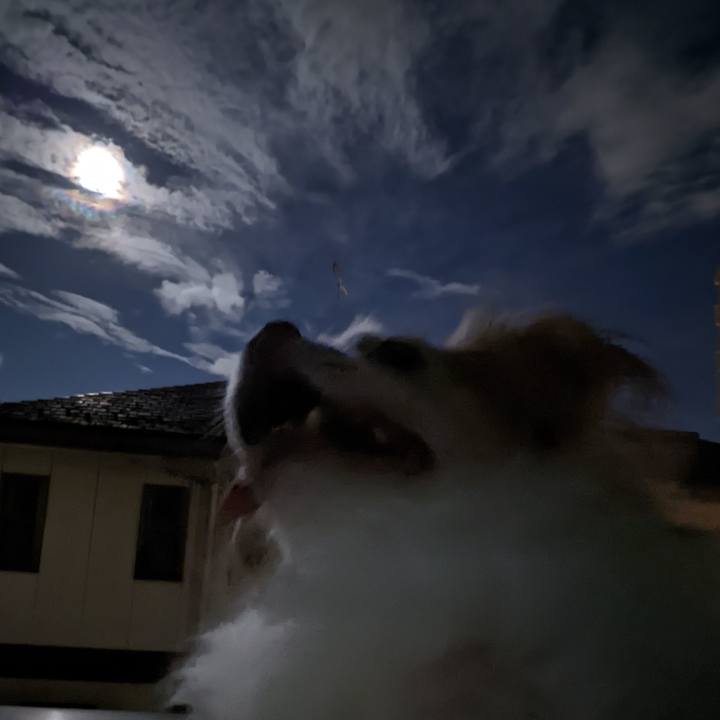 0bffe469 6492 475b a888 2cf91101e892 1660225219814