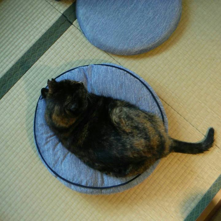 0bfff588 8b99 4536 86b3 ea5b35ad6839 1563414907918