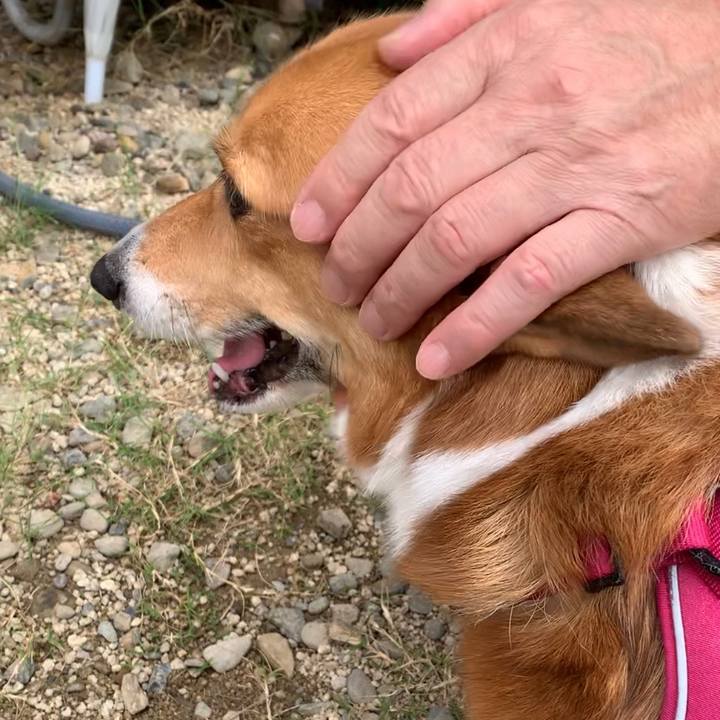 0bfff931 ed9a 49be 8d60 112ccec733ee 1665290375371