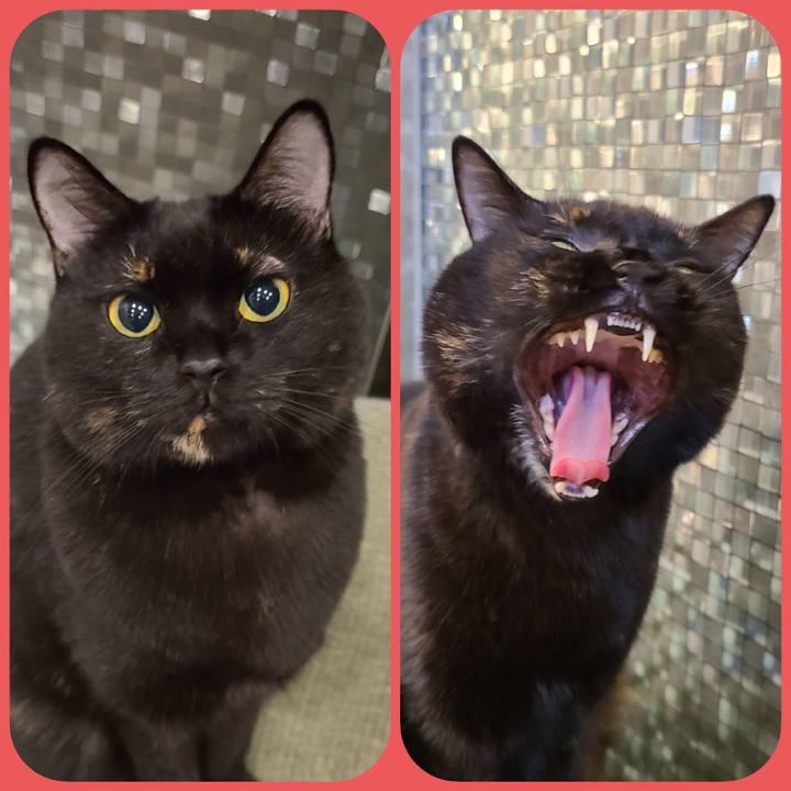 0c00299a 235b 4d46 93a4 650d094e3f5a 1642252442452