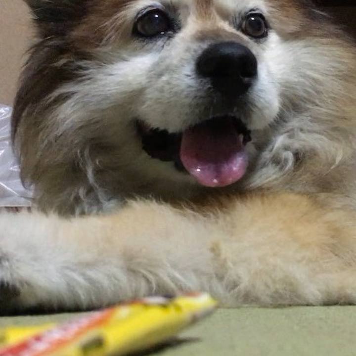 0c006b51 83bd 48e2 9e57 643c6c1733fa 1569809337819