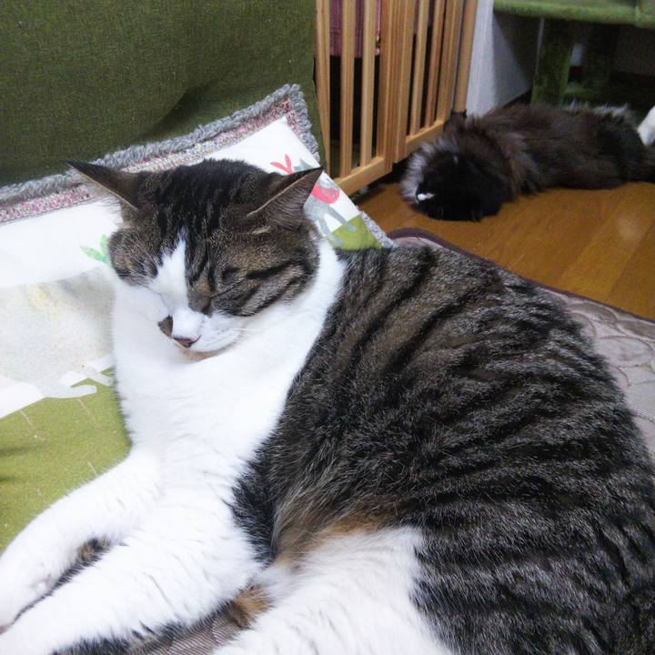 0c007ba1 5f45 43c5 9ffa 227726229ade 1658317794414