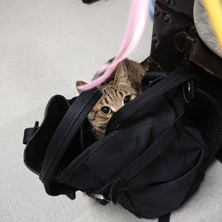 0c007c10 208a 4586 8fa9 4be7e86fc40b 1575565645011