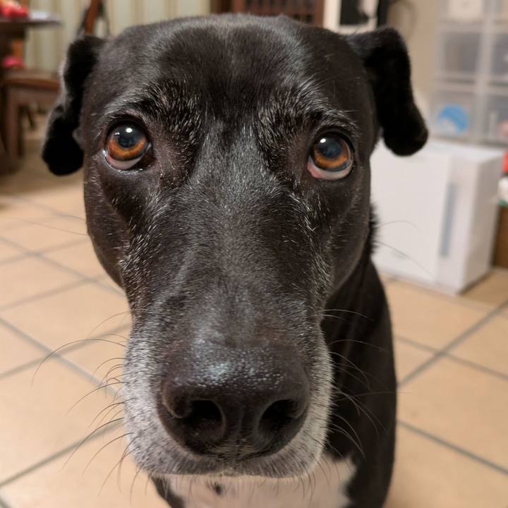 0c00a353 2a79 4b74 bc8b 642f5e171653 1735470564482