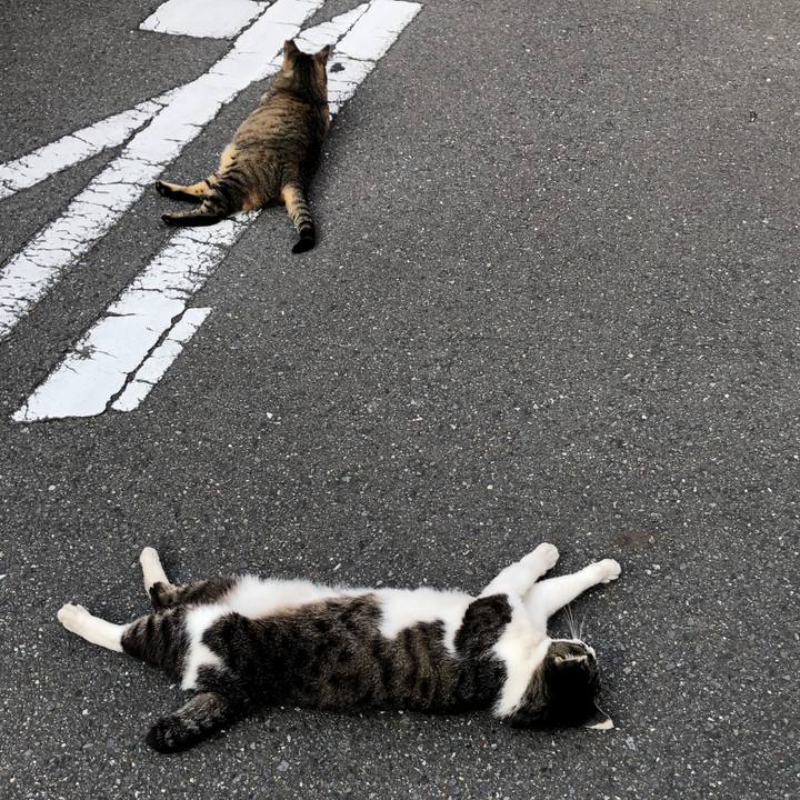 0c00aa3c 73bc 4dc4 a12d d315c2133bbc 1529667343424