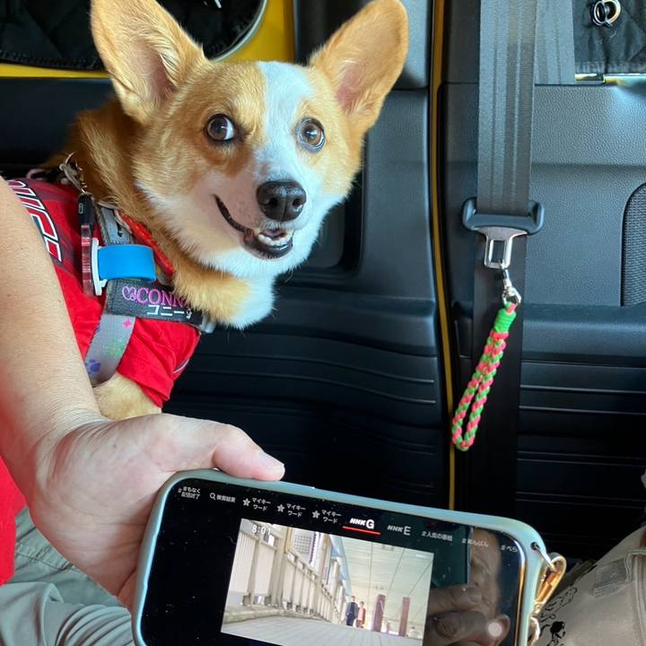 0c00ad4a cdb0 43db b467 d7f172c97e27 1758848147455