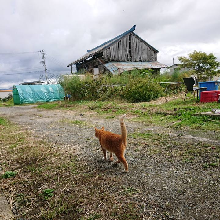 0c00c19c 3570 4dd1 9513 9970949bde5a 1602387342967