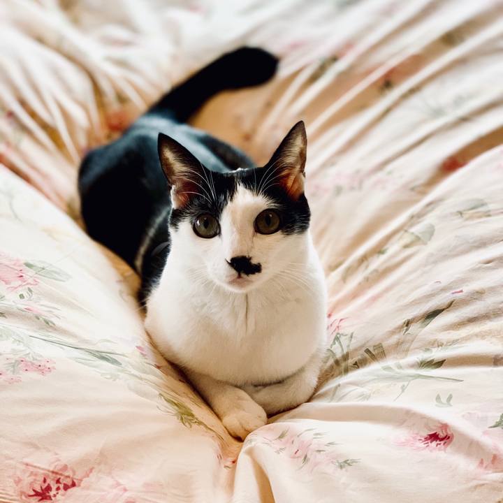 0c00e938 8c04 4d73 991c 071421ef1292 1566261975224