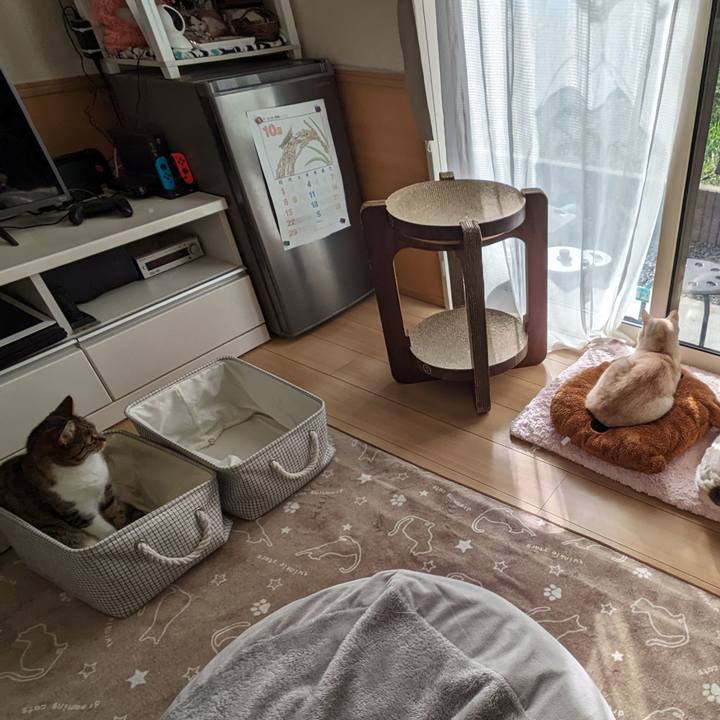 0c00f3b0 3dec 4e02 b426 76d351b0ce27 1696894572260